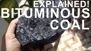 How coal is formed  Practically demonstration [upl. by Calypso]