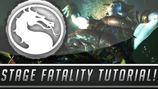 Mortal Kombat X How To Unlock amp Perform All Stage Fatalities Mortal Kombat XL [upl. by Eruot]