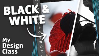 How to Create A BLACK amp WHITE Image in Photoshop [upl. by Aneerahs]