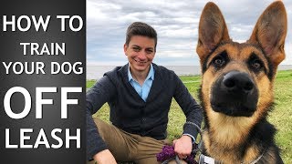 Off Leash Training How to Train Your Dog To Listen Off Leash [upl. by Ji550]