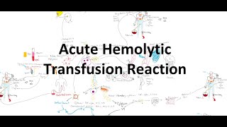 Acute Hemolytic Transfusion Reaction AHTR [upl. by Joung]