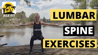 Lumbar Spondylosis Exercises [upl. by Bremble86]