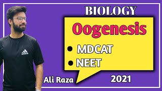 Oogenesis  NMDCAT 2021 [upl. by Noraed]