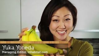 How to eat banana peels  with Yuka Yoneda [upl. by Herr]