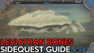 Leviathan Bones Sidequest Guide The Legend Of Zelda Breath Of The Wild [upl. by Narot325]