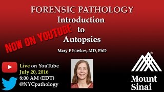 Forensic Pathology Introduction to Autopsies [upl. by Elianore980]