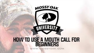 How to Use a Mouth Turkey Call for Beginners [upl. by Anned419]