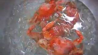 How to Boil Blue Crabs [upl. by Suoirtemed]