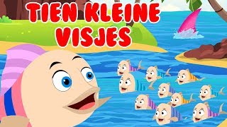 Tien kleine visjes  Nederlandse kinderliedjes [upl. by Waligore]