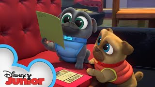 Finding Bobs Valentine ❤️  Puppy Dog Pals  Disney Junior [upl. by Keyser]