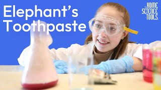 How to Make Elephant Toothpaste  FUN amp FOAMY Elephant Toothpaste Experiment  Doing Science at Home [upl. by Filahk]