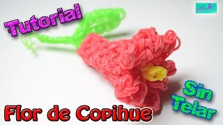 ♥ Tutorial Flor de Copihue de gomitas en 3D sin telar ♥ [upl. by Annavoeg]