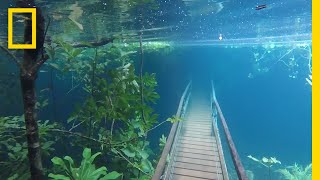 Heavy Rains Submerge Hiking Trails in Crystal Clear Waters  National Geographic [upl. by Sedecram]