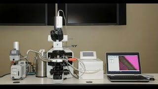 History of Saccharomyces boulardii CNCM I745 [upl. by Ecnerrat788]