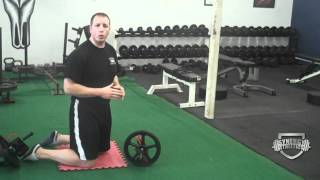 How To Correctly Do Ab Wheel Roll Out Exercise [upl. by Gereld453]