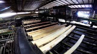 Collums Lumber Products LLC  Sawmill Tour [upl. by Hutchinson8]