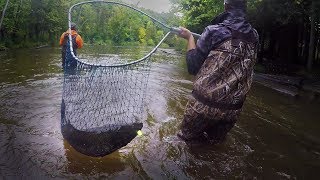 Michigan River Salmon Fishing with Spinners  THEY BITE [upl. by Toomay259]