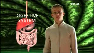 Cell Tissue Organ System Organism  BBC Curriculum Bites [upl. by Berardo520]