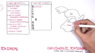 Cholinergic and Anticholinergic Toxicity Toxidrome [upl. by Meaghan]