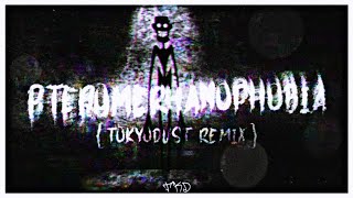 EZHALT amp YanderelMusic  Pteromerhanophobia TokyoDust Remix [upl. by Garlan]