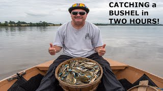 Catching a BUSHEL of Crabs in TWO HOURS  Chester River 2020 [upl. by Adnomar235]