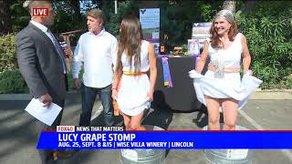 Stomping Grapes with Wise Villa Winery on Fox 40 [upl. by Amado]