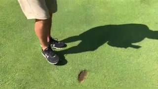 Divot Repair with Course Superintendent [upl. by Misa]