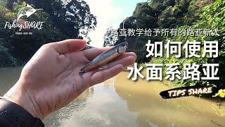 【FishingShare】路亚教学给予所有的路亚新人 如何使用水面路亚饵HOW TO USE LURES FOR BEGINNERS  TOPWATER LURES TUTORIAL [upl. by Niple]