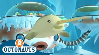 Octonauts  Journey Through the Ice  Cartoons for Kids [upl. by Anawad]