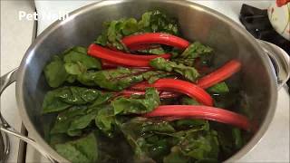 Sauteed Swiss Chard recipe  Simple and Tasty Swiss Chard Recipe [upl. by Ellennahs]