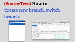 SourceTree How to Create new branch switch branch [upl. by Nylsirk]