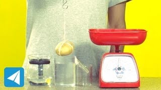 Archimedes Principle demonstration  Buoyancy  Physics [upl. by O'Hara]