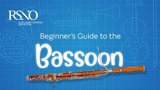 How To Play The Bassoon A RSNO Beginners Guide [upl. by Hasin]