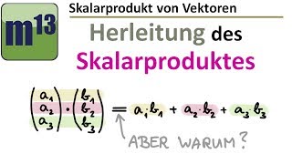 Herleitung des Skalarprodukts [upl. by Revlys]