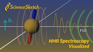 NMR spectroscopy visualized [upl. by Eluk]