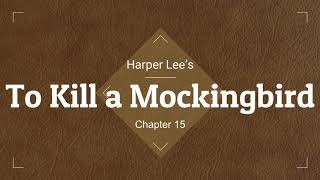 To Kill a Mockingbird Audio Ch 15 [upl. by Linetta]