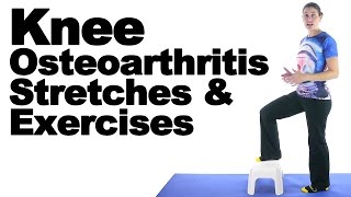 Knee Osteoarthritis  Wear amp Tear  What Exercises To Do [upl. by Wiese]