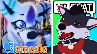 My Last Omegle Video [upl. by Batory]