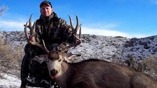 Rifle Mule Deer Hunt on the Book Cliffs  MossBack [upl. by Idolla]