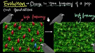 Evolution amp natural selection  Heredity amp Evolution  Biology  Khan Academy [upl. by Siesser]