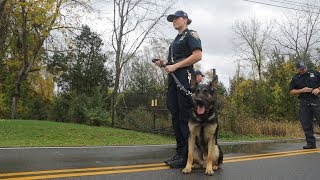 Police Dog Training your best friend [upl. by Aket326]