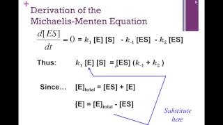 044MichaelisMenten Equation [upl. by Eizzil]