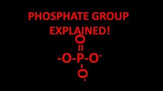 Phosphate functional group explained [upl. by Vernita]