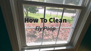 How To Clean Fly Poop FAST [upl. by Akimit]