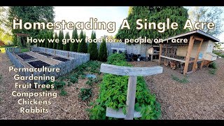 Our 1 Acre Homestead  How We Micro Farm [upl. by Enileuqcaj216]