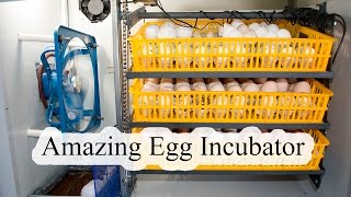 Egg Incubator Review and Operation [upl. by Malinda]