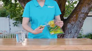 How to use the RESCUE Disposable Fly Trap [upl. by Donnelly]