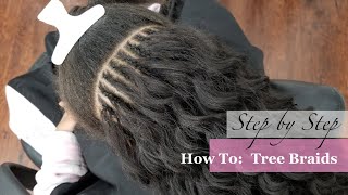 How To Tree Braids  Step by Step  Very Detailed [upl. by Lareneg]