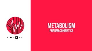 Metabolism  The Pharmacokinetics Series [upl. by Hekker]