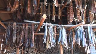 Traditional Smoked Salmon method in Alaska [upl. by Rumney889]